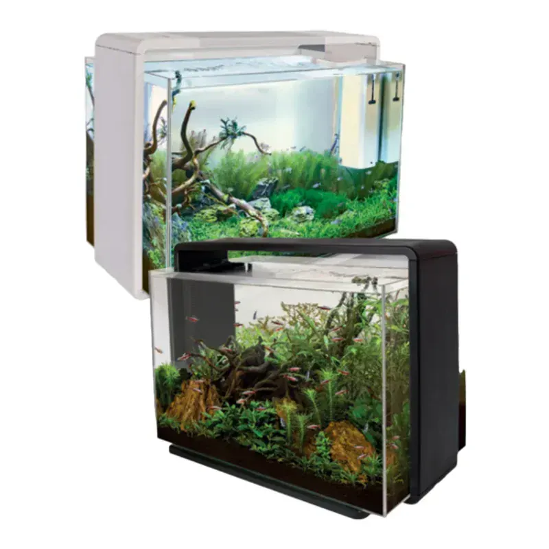 Superfish Home 80