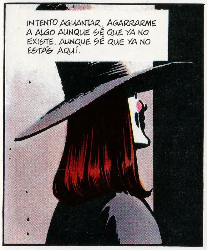 V for Vendetta
