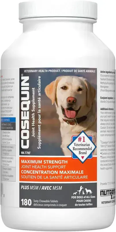 Cosequin DS Plus MSM